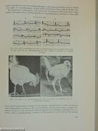 Diets for Animal Experiments