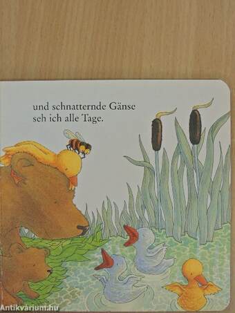 Herr Bär sagt: Ich mag Dich!