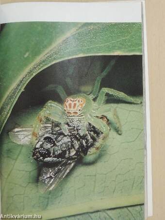 National Geographic February 1973