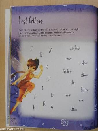 Fairies Activity Book