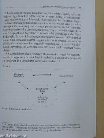 A pszichoszomatikus zavarok rendszerszemlélete