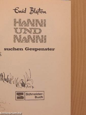 Hanni und Nanni suchen Gespenster