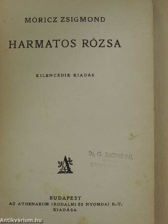 Harmatos Rózsa