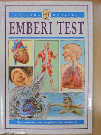 Emberi test