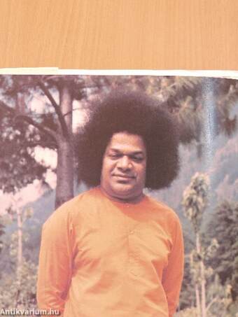 Swami in Kashmir