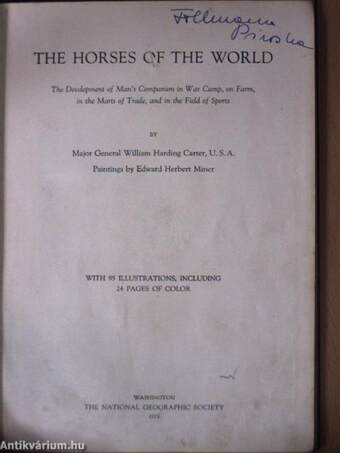 The Horses of the World