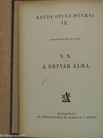 N. N. - egy szerelem-gyermek regénye/A betyár álma és más elbeszélések