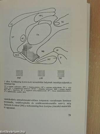 A biológia aktuális problémái 20.