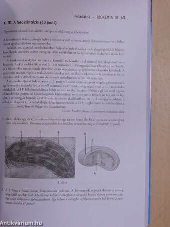 Még egy lépés a biológia érettségihez