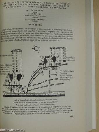 Erdészeti kutatások 1987