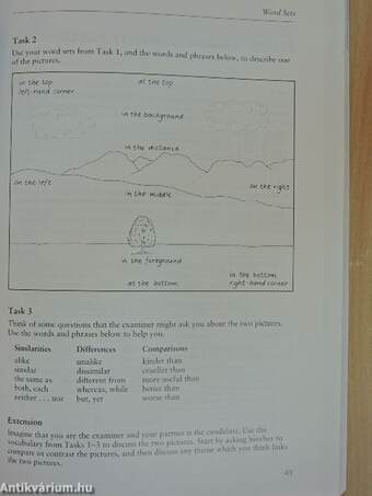 Successful Vocabulary for First Certificate