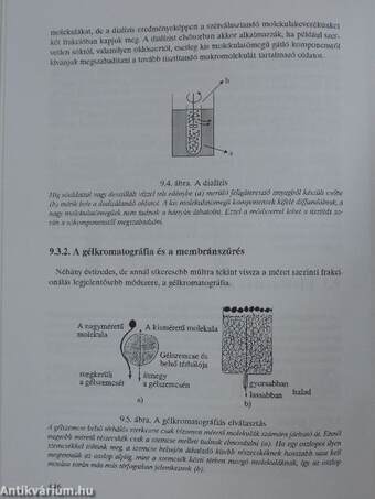 A biokémia alapjai