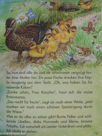 Die schönsten Tiergeschichten 6.