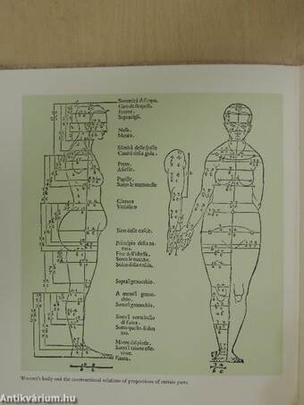 Albrecht Dürer della simmetria dei corpi humani