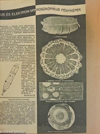 Élet és tudomány 1947. (nem teljes évfolyam)