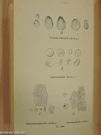 Szerves laboratóriumi gyakorlatok IV.