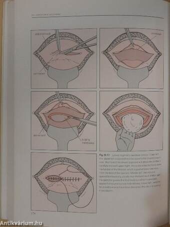 Illustrated Textbook of Obstetrics