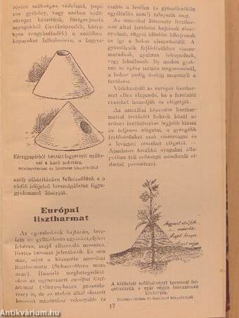 Gyümölcstermelők naptára 1939./Baromfitenyésztési rádiótanfolyam/A méhtenyésztés alapismeretei/Méhészeti rádiótanfolyam