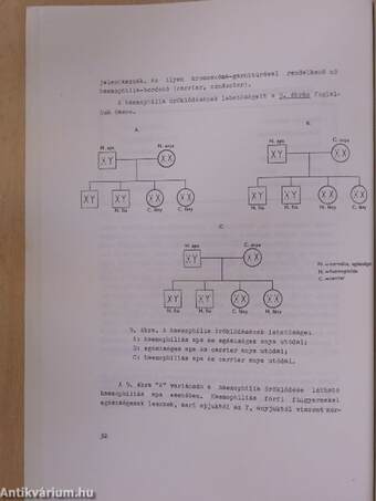 A haemostasis és zavarai/A vérzékenység klinikuma