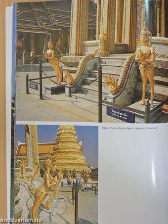 The Golden Book of Bangkok