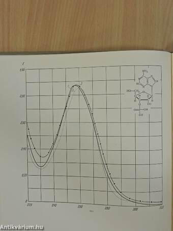 Absorption Spectra of Minor Bases