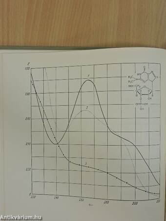 Absorption Spectra of Minor Bases