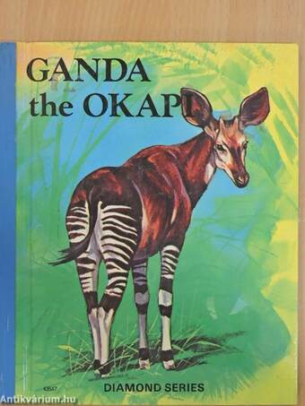 Ganda the Okapi