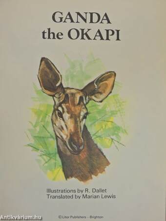 Ganda the Okapi