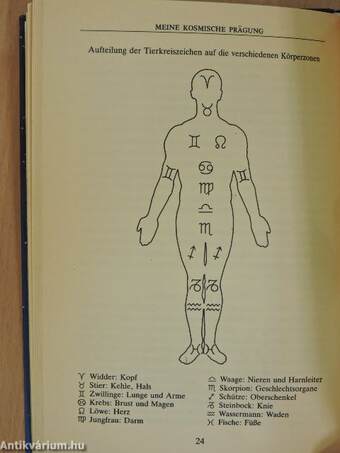 Das persönliche Horoskop für alle, die am 27. Juni geboren sind