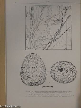 Communicationes Archaeologicae Hungariae 1982