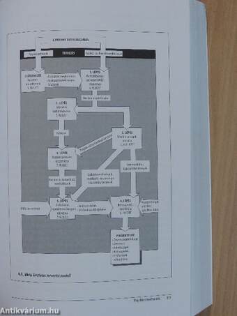 Projektmenedzsment