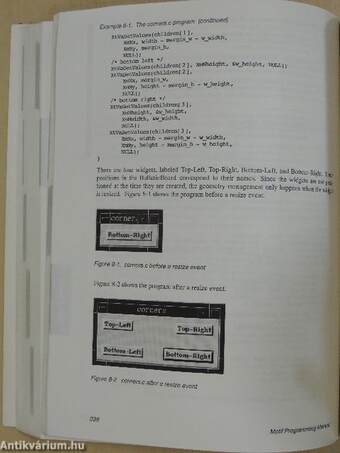 Motif Programming Manual