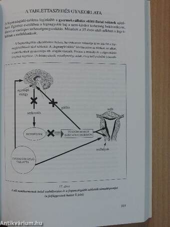 Felkészülés a családi életre