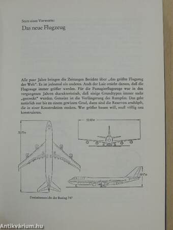 Jumbo Jet der schnelle Riese