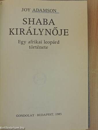 Shaba királynője