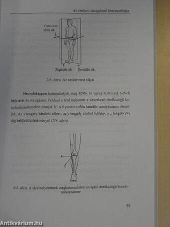 Az emberi test mozgástana