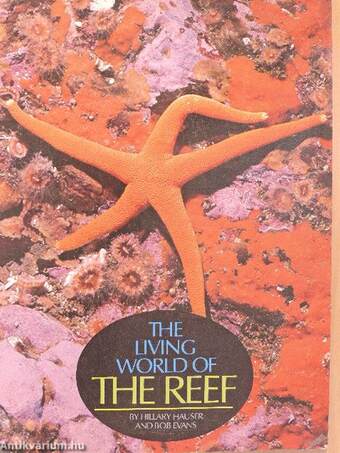 The Living World of the Reef