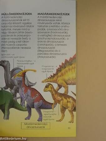 Dinoszauruszok