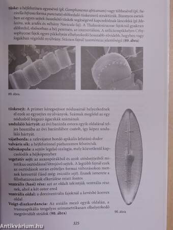 Algológiai praktikum