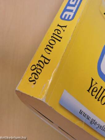 A sokoldalú GTE Yellow Pages 2000-2001