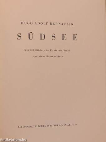 Südsee