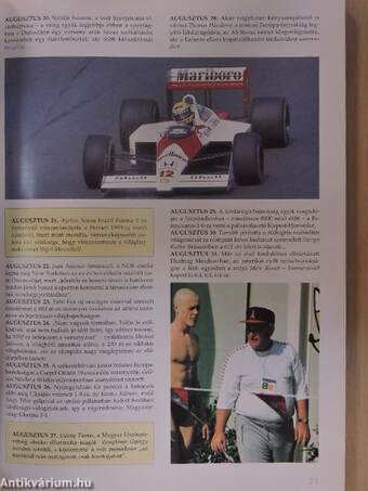 A Magyar Sport Évkönyve 1993