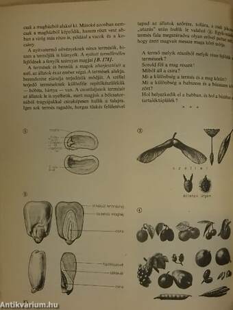 Biológia 7.