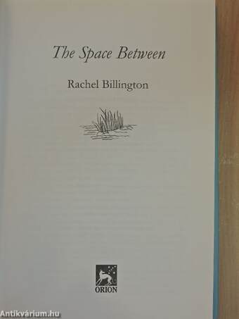 The Space Between