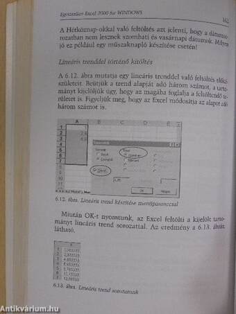 Excel 2000 for Windows