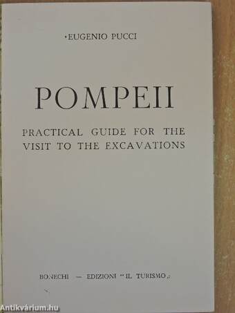 How to Visit the Excavations of Pompeii