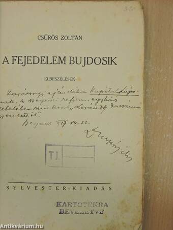 A fejedelem bujdosik