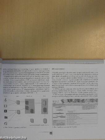 Esélyteremtés az oktatási informatika eszközeivel - CD-vel