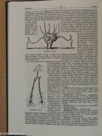 Révai nagy lexikona 1-21.