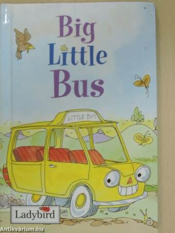 Big Little Bus